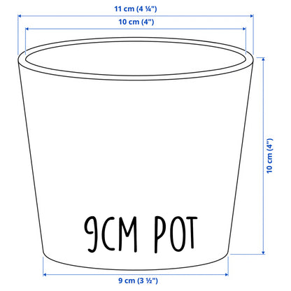 Personalised Teacher Plant Pot | Custom Teacher Appreciation Gift, Thank You Present