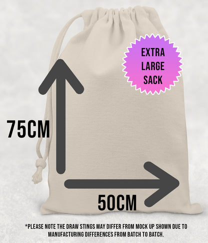 Personalised Disney Christmas Stock Gift Sack -Multi Character Stocking Editon