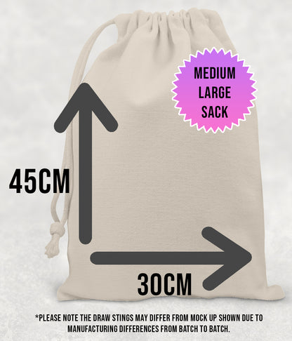 Personalised Disney Christmas Stock Gift Sack -Multi Character Stocking Editon